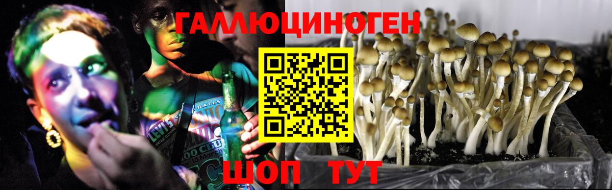 Псилоцибиновые грибы MAGIC MUSHROOMS  Псилоцибиновые грибы GOLDEN TEACHER  Вход с VPN  Нефтеюганск 